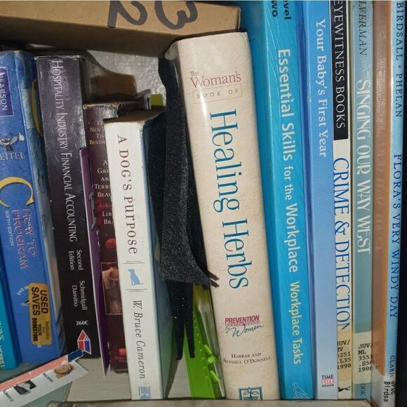 Book - Picture 4 of 5